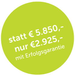 Störer Energieeffizienz Check